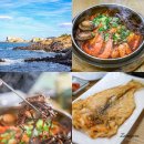 41190-01-07-151 | 제주공항 근처 가성비 맛집 로컬 추천 용두암 아침식사 딱!