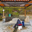 방학동 은행나무 이미지