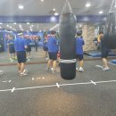 판교복싱메카 판교역점 이미지