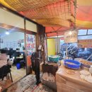 대일투어로 | [대일분식/중앙동] 쯔양도 왔다간 익산 가성비 탕수육, 짬뽕라면 맛집