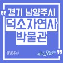NR-17[석실로]-상-2 | 덕소자연사박물관, 경기 남양주시 아이와 가볼만한 곳