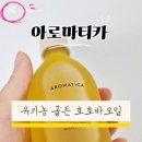 2달러PC | 영상 편집 PC 앱 캡컷 겜스고 저렴하게 유료 기능 사용 꿀팁