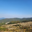 삼덕공원 이미지