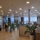 세무법인선진 네이버블로그