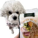 와즈펫(wispet) 이미지