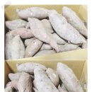 백세농장 이미지