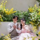 희헤어라인 | 웨딩사진 사설보정업체 희포토 보정 샘플 후기