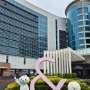 테라스파이브 휘트니스 | 인천 영종도 을왕리 &#39;더위크앤리조트&#39; ▪ 패밀리 M 오션뷰 숙박/조식 후기 (돌 아기랑)