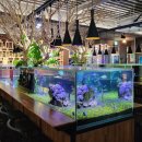 단짠아쿠아 평화점 이미지