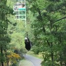 좌구산휴양랜드 이미지