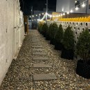 [울산 카라반] 해해 카라반