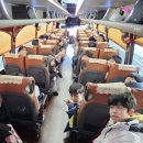용인대대일태권도장 이미지