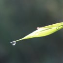 안산골농촌체험마을 이미지