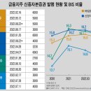 신종자본증권 발행기사 이미지