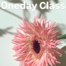 과천대로7다길 이미지