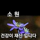 226일 역대상 10-12장 아둘람과 다윗의 원동력 p.13 23.4.21사울 죽음 – 다윗 왕 – 용사들“전투 채비를 한 이 모 이미지