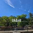 내소사 - 1318 | 7월 국내여행지 추천 부안 내소사 주차 사찰 산책 후기