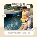 화성시 아기랑 갈만한곳 바오밥식물원베이커리&amp;카페