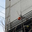 신반포로40길1-6 | 드디어 먹어본 베통 소금빵 위치, 웨이팅 후기(페딩턴, 초코, 트러플)