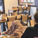 소고기육개장 | [강화도 수라전통육개장] 태국인도 반한 인생 국물! 소고기 산더미 '수라전통육개장' 솔직 후기
