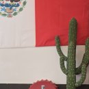 리얼타운비즈니스 타코 이미지