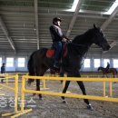 홍성군승마장 이미지