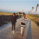 삼풍목장 이미지