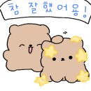 세인트복싱 동탄점 이미지