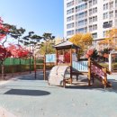 미메이드 이미지