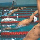 동부체육관(동부스포츠센터) 이미지