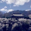 강남로(정하동) 네이버블로그