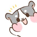 뚜레쥬르수지구청역점