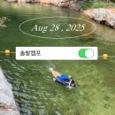 솔밭캠프 | 괴산 쌍곡 계곡 솔밭 캠프 평상 아쉬웠던 후기