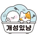 개성있냥 네이버블로그