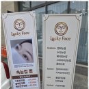 파주속눈썹 럭키페이스의 아름다움 디자인 후기