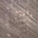 이색신도비 이미지