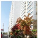 우리마트가좌 이미지