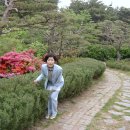 이재숙농장 Daum카페