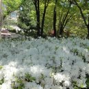 가좌근린공원 이미지