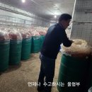 멸치액젓, 새우젓, 갈치젓, 황석어젓 등 이미지