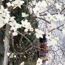 신앙촌식품(주) 이미지