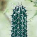 (주)다름 이미지