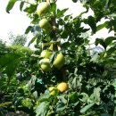 소소하루 민박 이미지