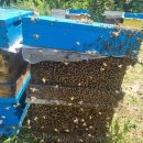 환의농장 이미지