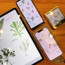 [신규]연필드로잉 이미지