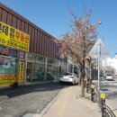 롯데금성부동산공인중개사사무소 네이버블로그