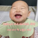 케이마루 | [내돈내산] 6개월 아기 첫 유치 관리, 닥터노아 마루케이에프 고불소 치약으로 선택한 이유 (쌀알 크기...