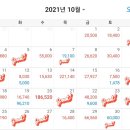 요미 펫택시 이미지