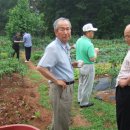 영관농장 이미지