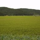 신우축산 이미지